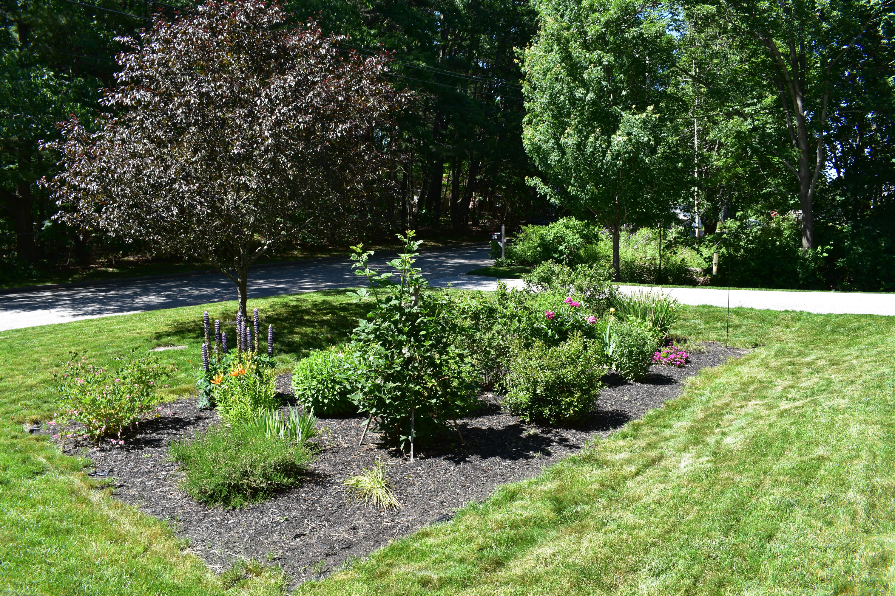 182 Hicks Street Portland ME 04103