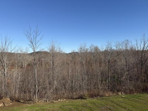 8 Penny Lane Parsonsfield ME 04047