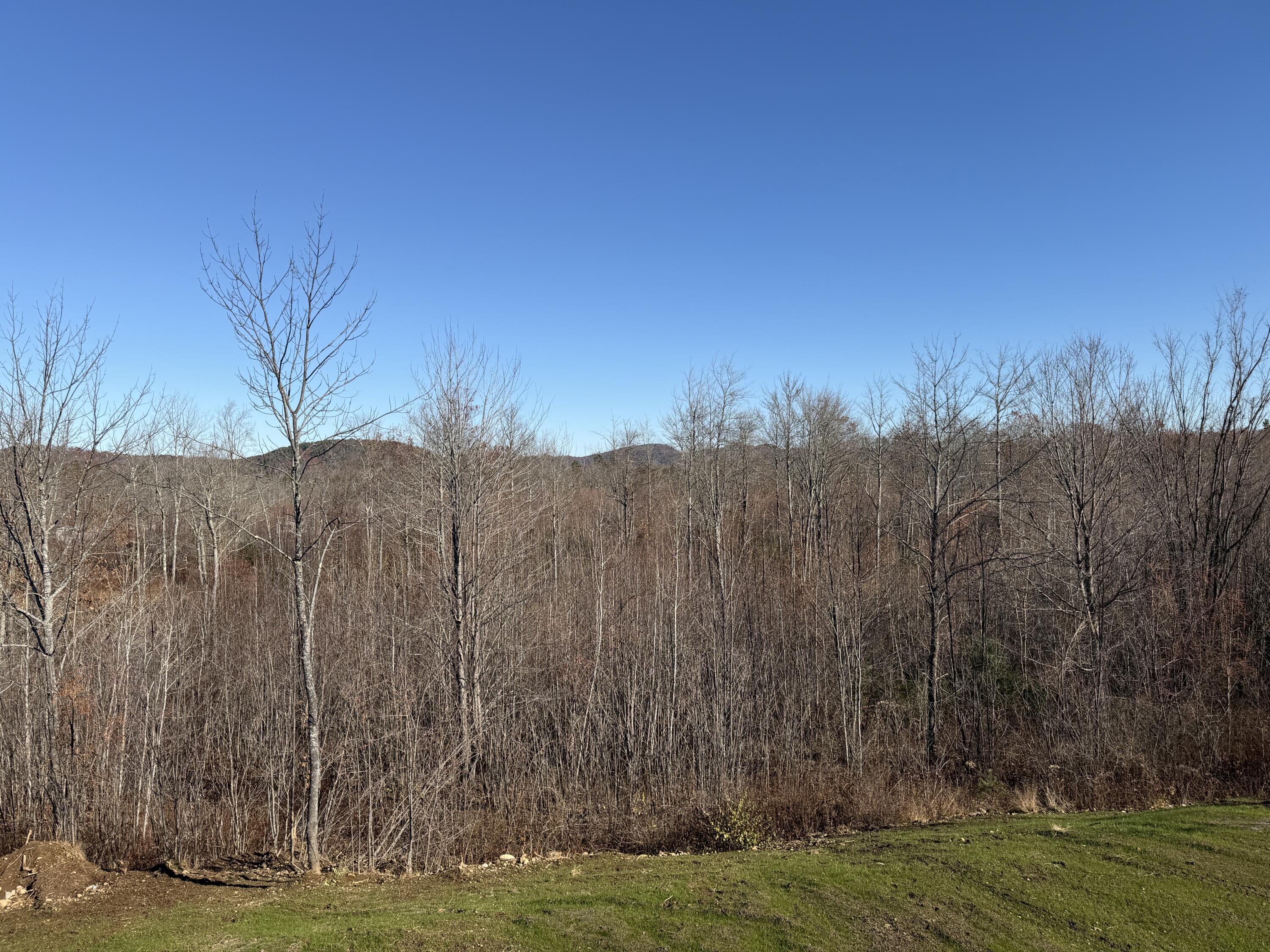 8 Penny Lane Parsonsfield ME 04047