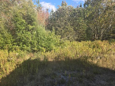 92 Wilcox Road Trescott Twp ME 04652