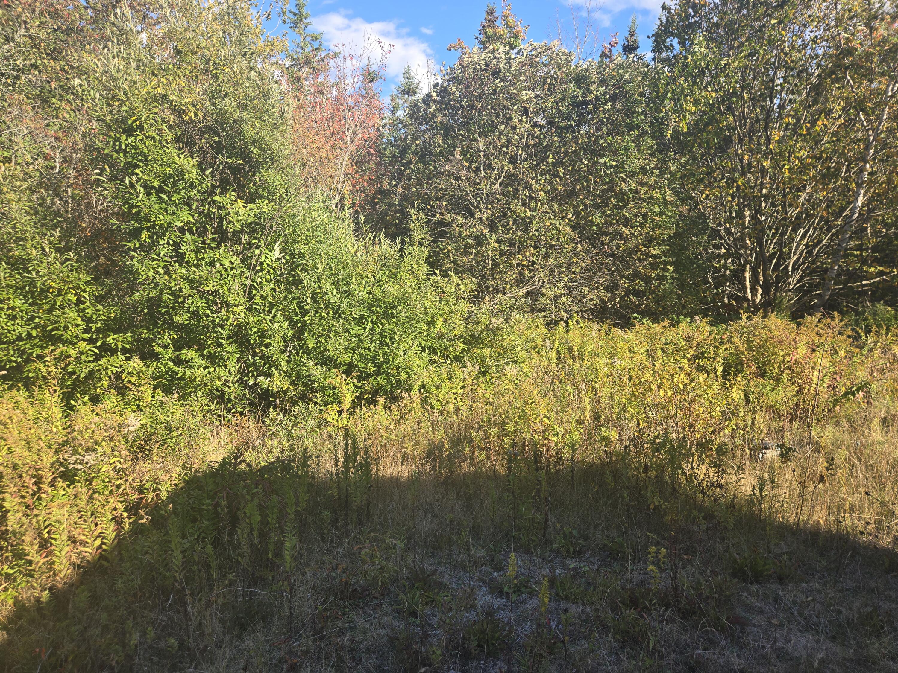 92 Wilcox Road Trescott Twp ME 04652