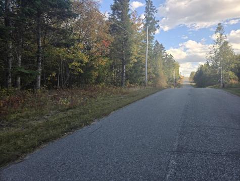 92 Wilcox Road Trescott Twp ME 04652