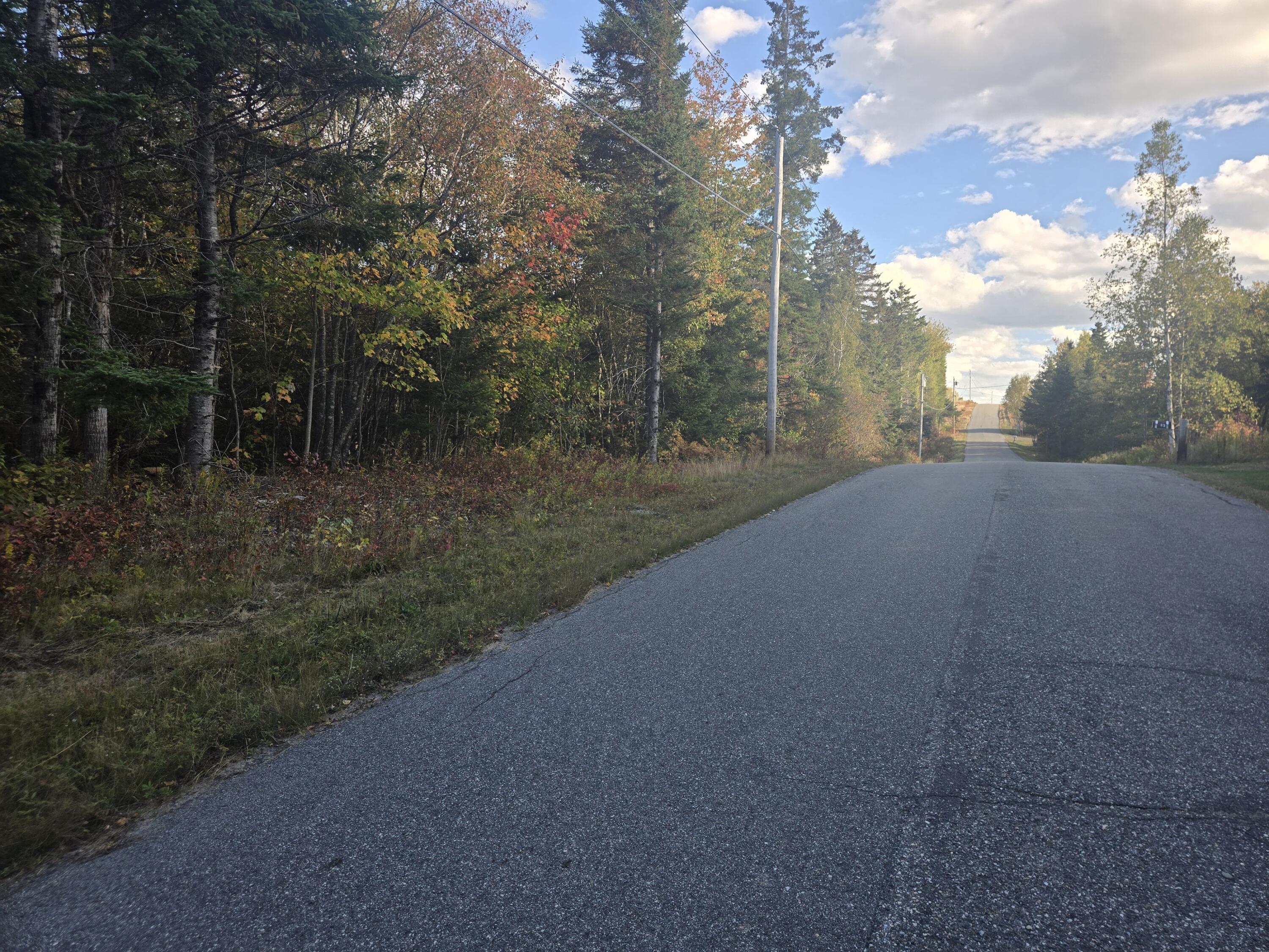 92 Wilcox Road Trescott Twp ME 04652