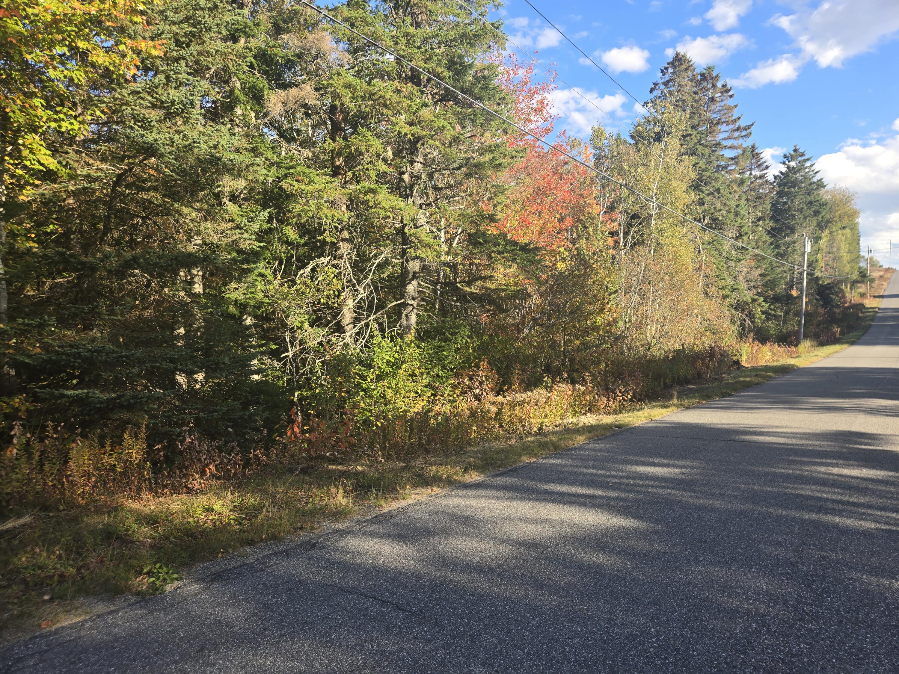 92 Wilcox Road Trescott Twp ME 04652