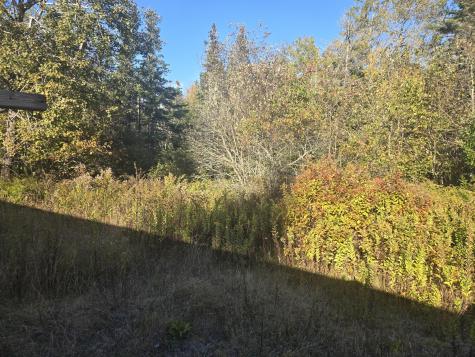 92 Wilcox Road Trescott Twp ME 04652