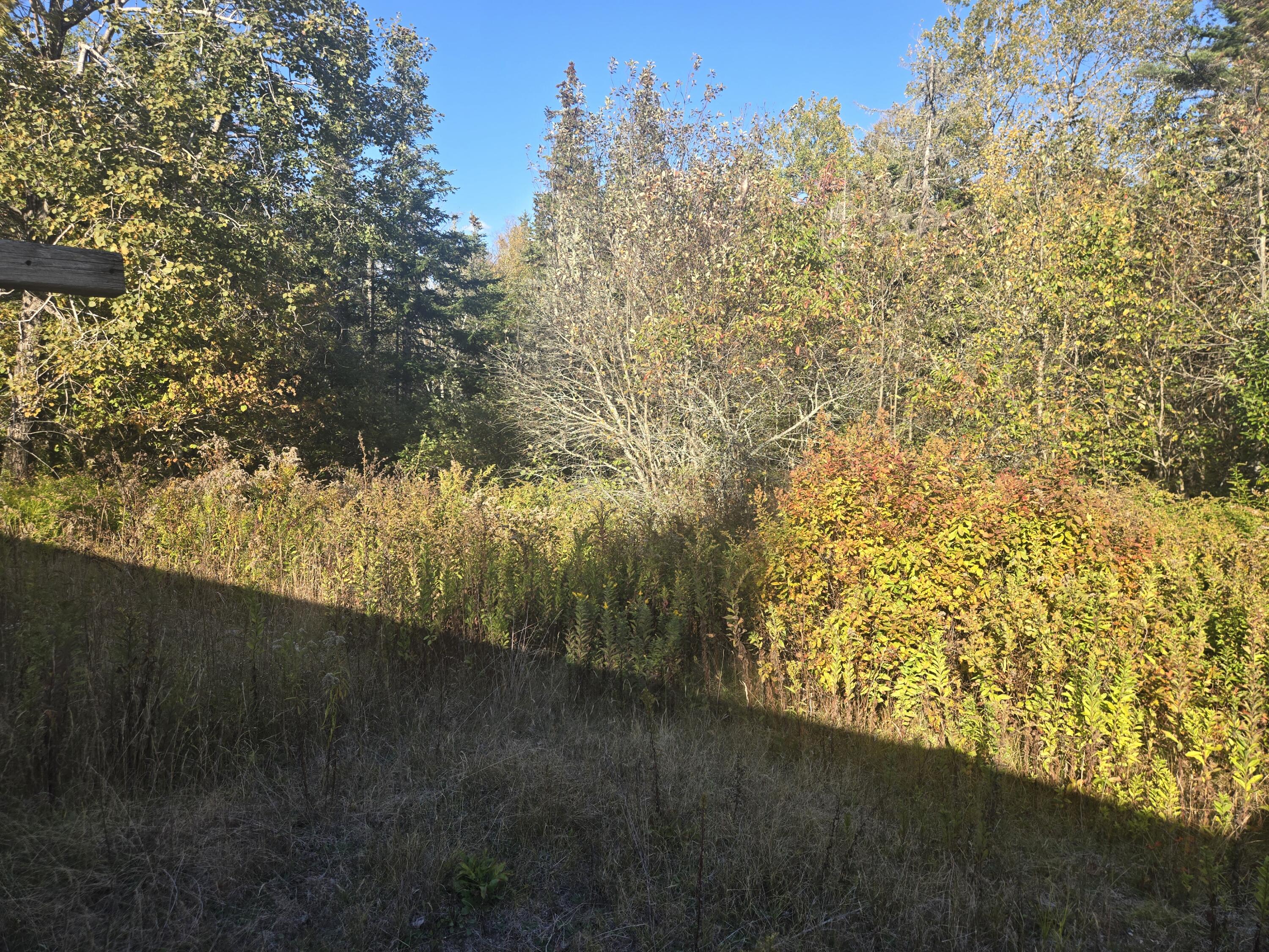 92 Wilcox Road Trescott Twp ME 04652