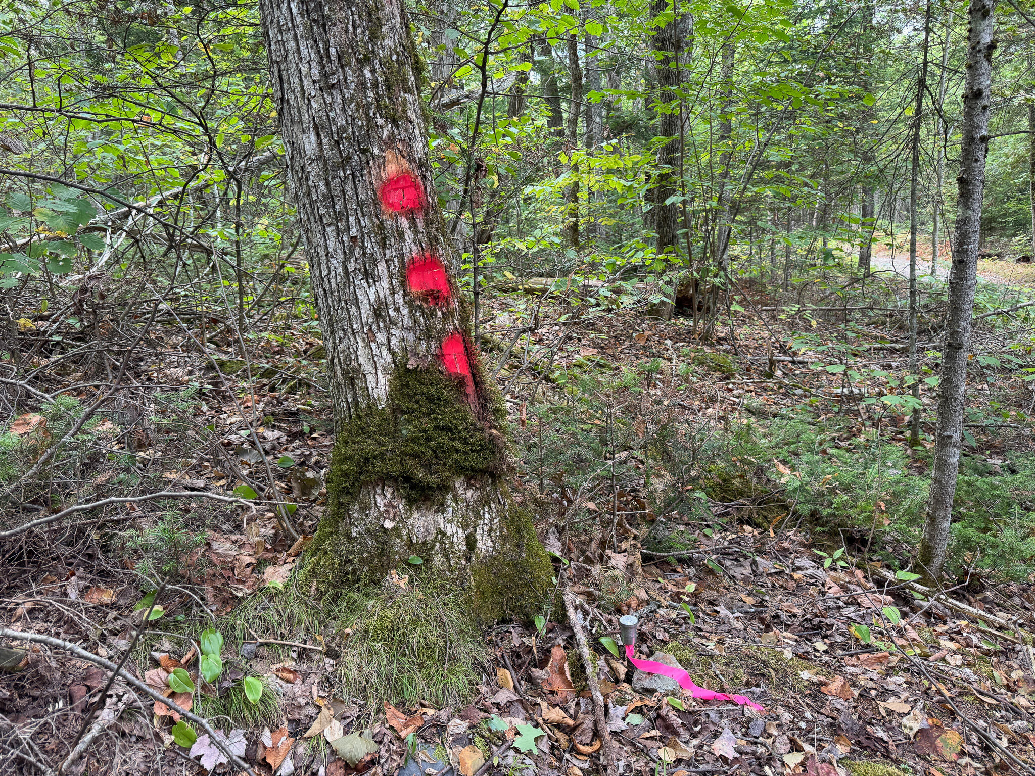 155 Garland Road Charleston ME 04422