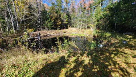 25 Moosehill Road Osborn ME 04605