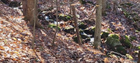 0 High Street Peru ME 04290