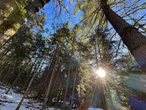 0 High Street Peru ME 04290