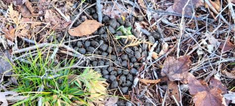 0 High Street Peru ME 04290