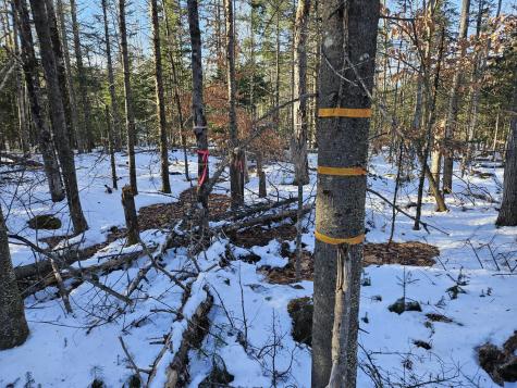 0 High Street Peru ME 04290