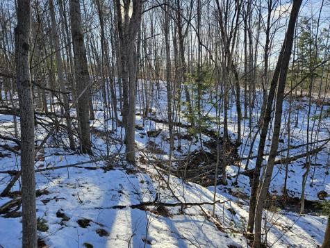 0 High Street Peru ME 04290