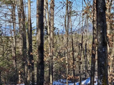 0 High Street Peru ME 04290