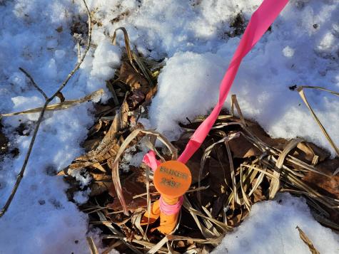 0 High Street Peru ME 04290