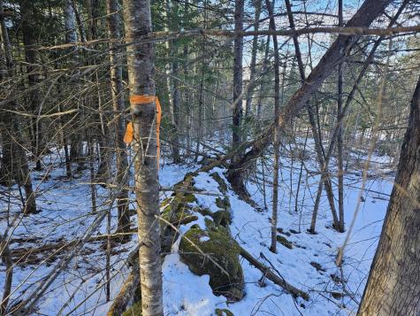 0 High Street Peru ME 04290