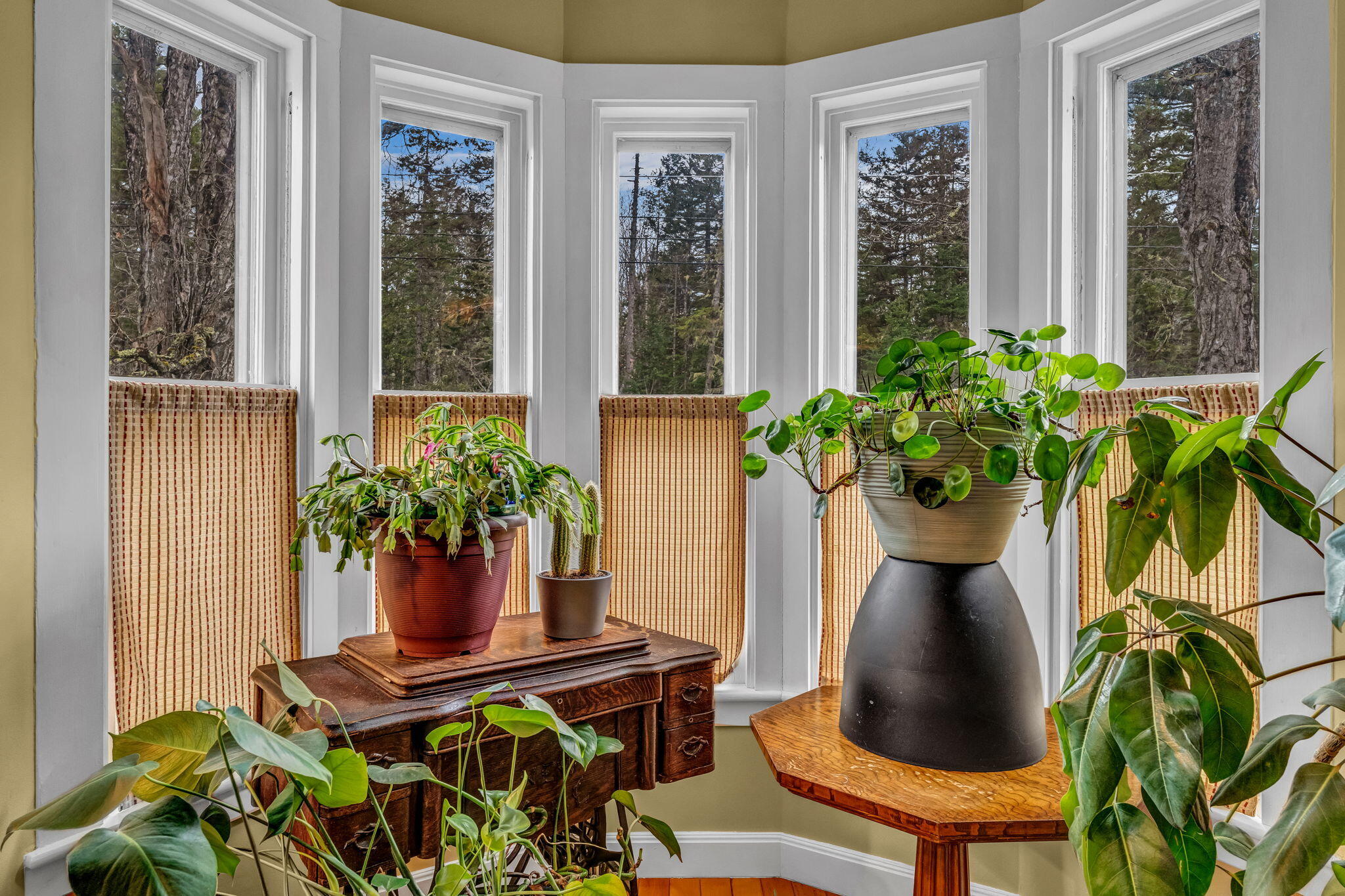98 Hog Bay Road Franklin ME 04634