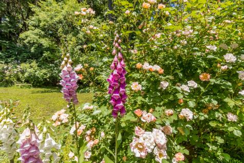 105 Brook Road Falmouth ME 04105