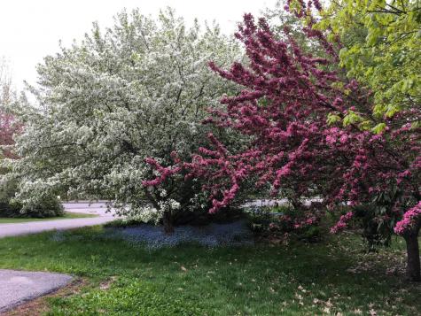 105 Brook Road Falmouth ME 04105