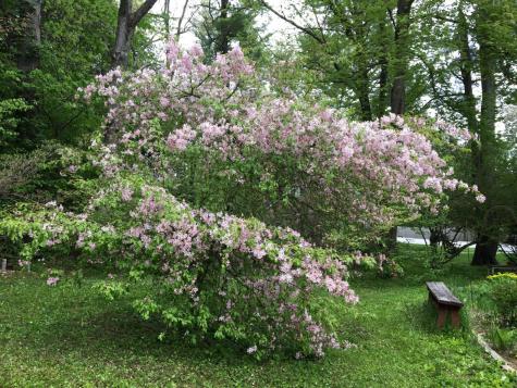 105 Brook Road Falmouth ME 04105