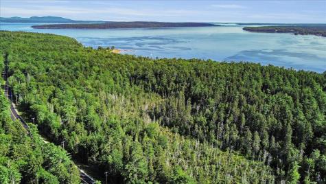 9 Spruce Needle Lane Blue Hill ME 04614