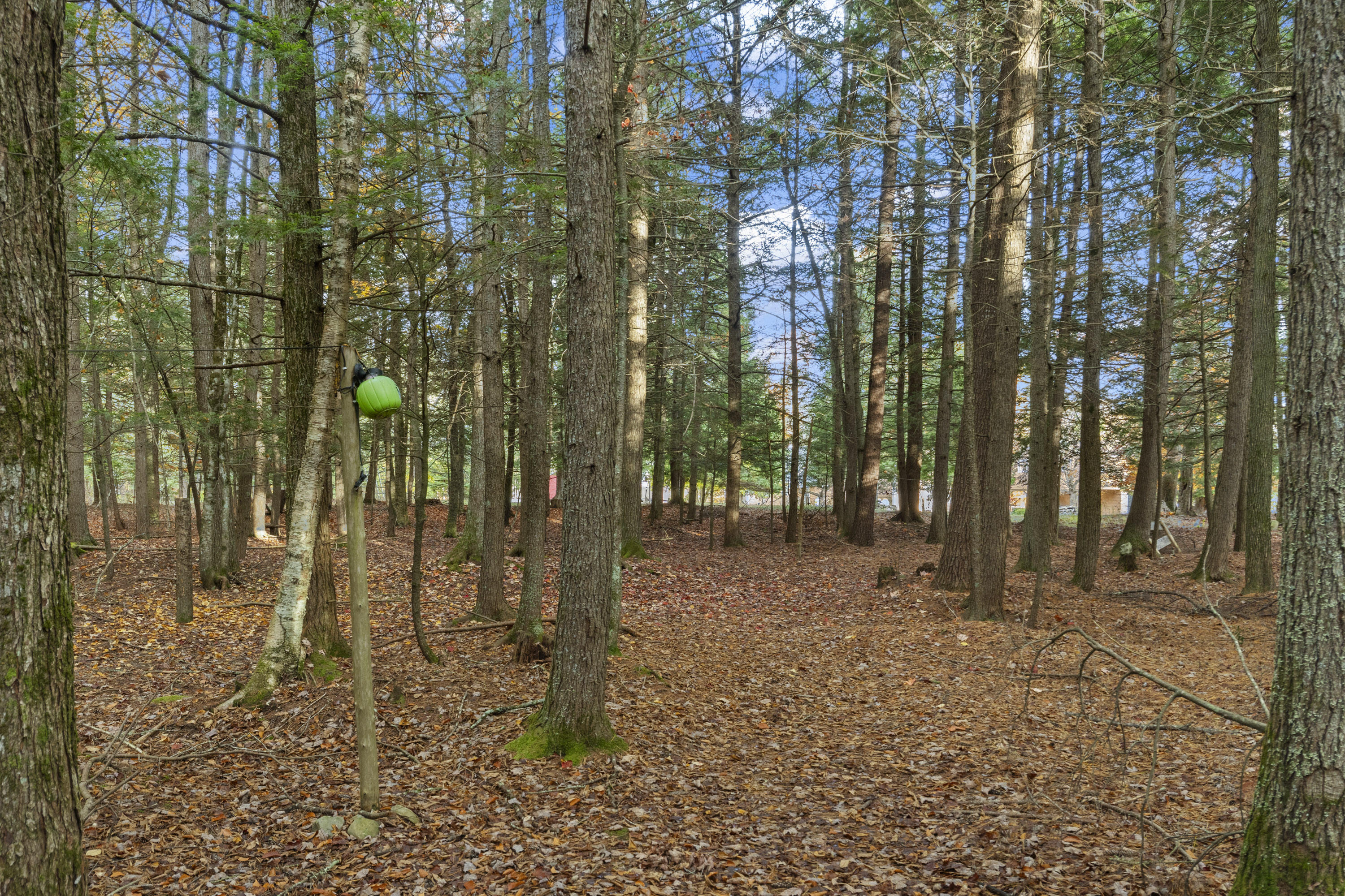 82 Carll Road Buxton ME 04093