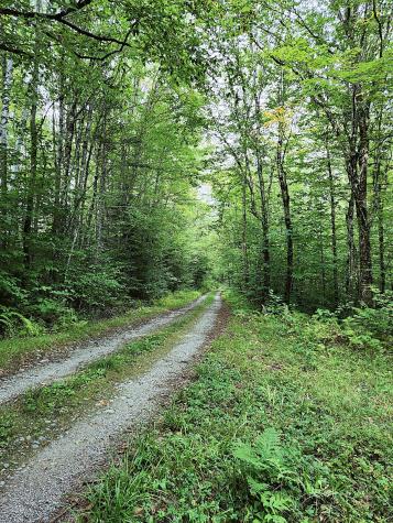 672 Meadow Lane Rumford ME 04276