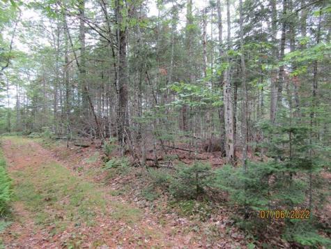 912 Davis Street Ebeemee Twp ME 04414