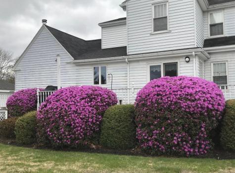 65 North Street Machias ME 04654