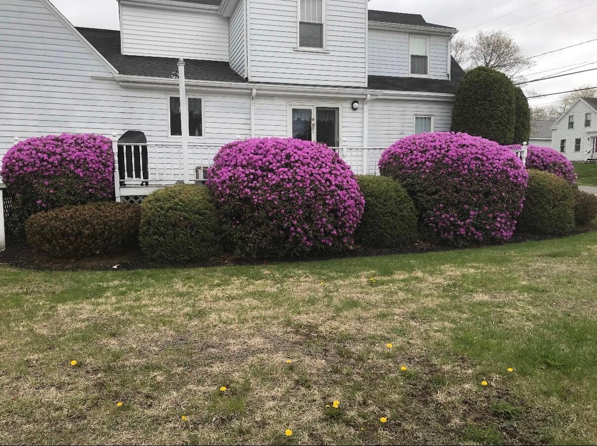65 North Street Machias ME 04654