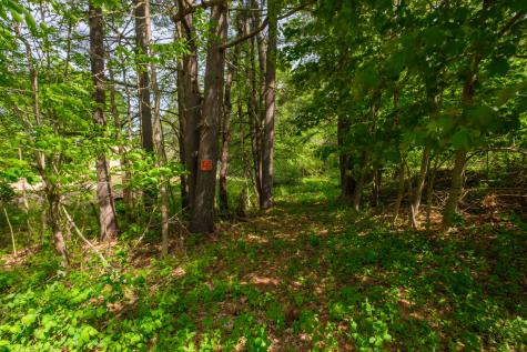 6 Sedgley Road Greene ME 04236