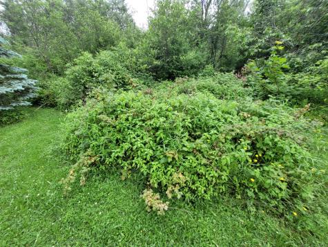 29 Horseback Road Carmel ME 04419