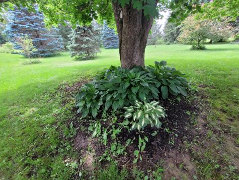 29 Horseback Road Carmel ME 04419