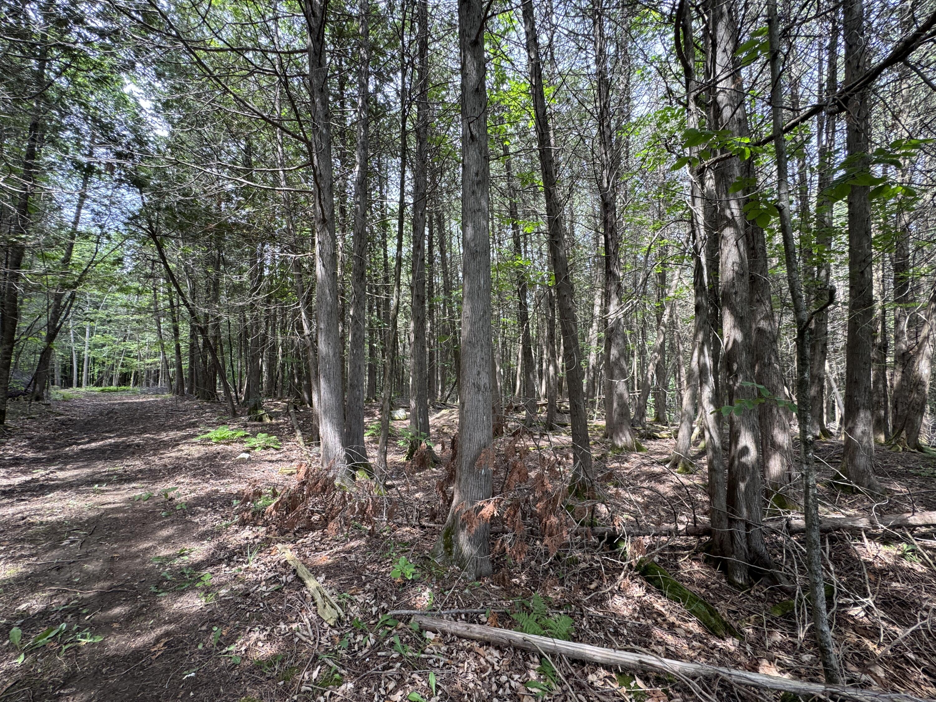 1698 Exeter Road Exeter ME 04435