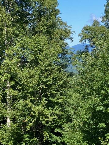 Lot 15-021 Taras Way Bethel ME 04217