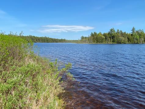 349 Fox Run Lakeville ME 04487