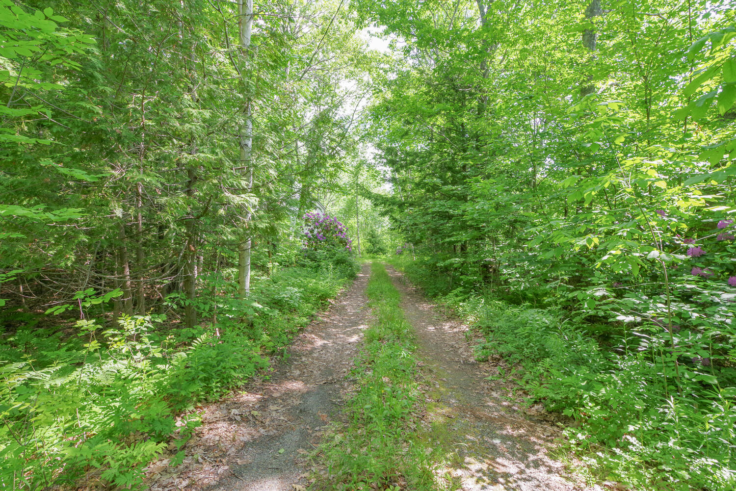 265 Greenacre Road Lincolnville ME 04849