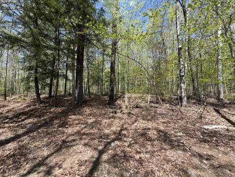220 Bearce Road Sangerville ME 04479