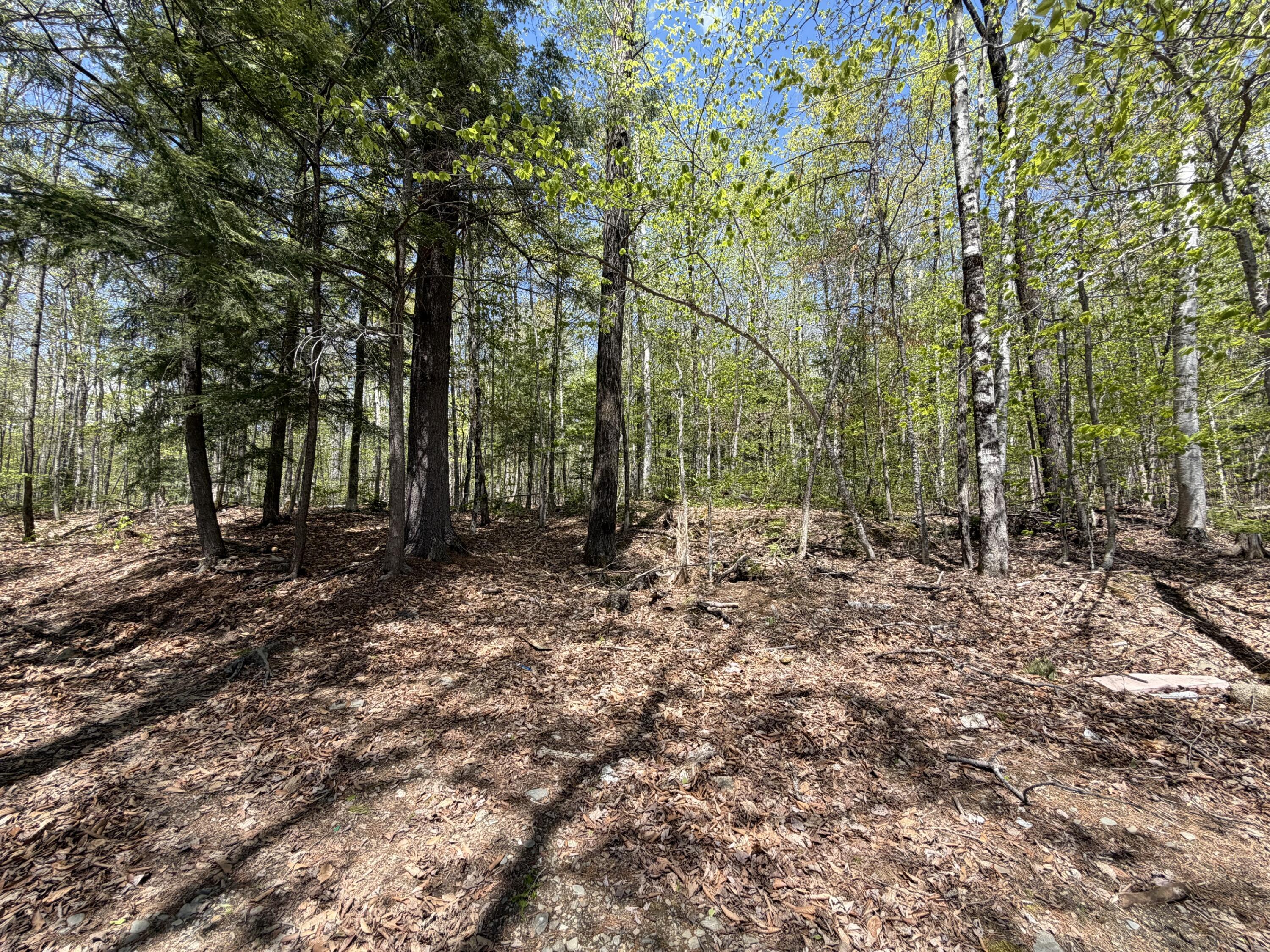 220 Bearce Road Sangerville ME 04479