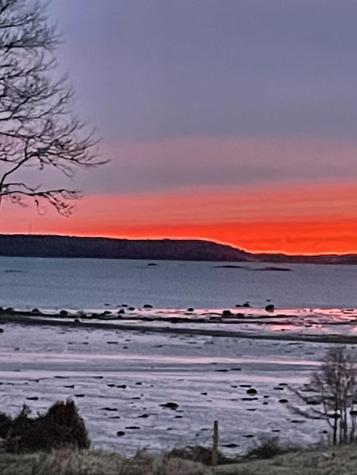 1214 Cutler Road Whiting ME 04691