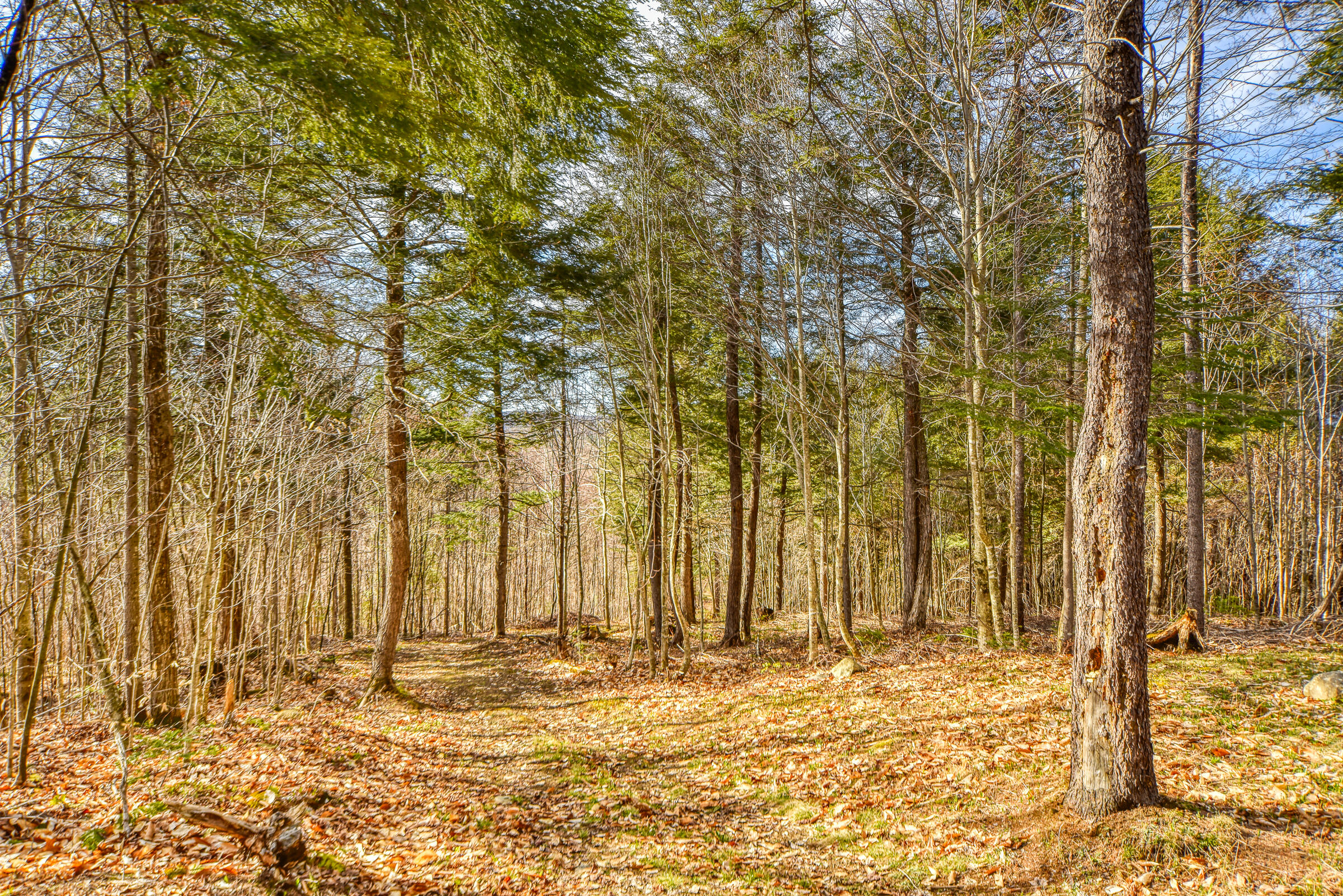 0 Little Huston Brook Road Concord Twp ME 04920