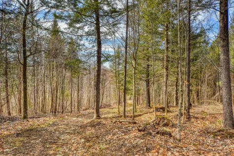 0 Little Huston Brook Road Concord Twp ME 04920