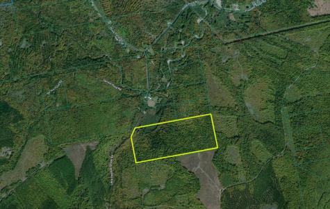 0 Little Huston Brook Road Concord Twp ME 04920