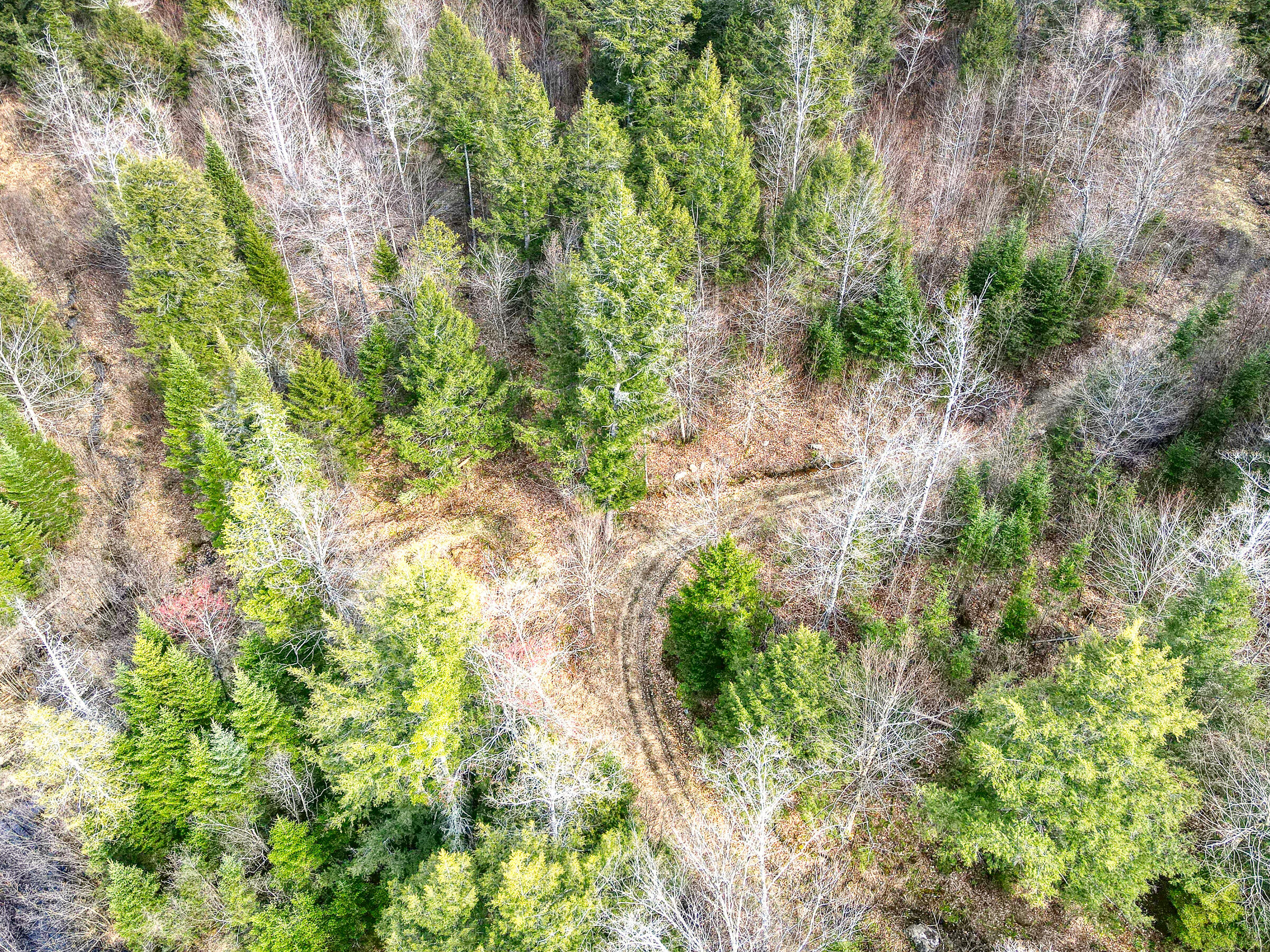 0 Little Huston Brook Road Concord Twp ME 04920