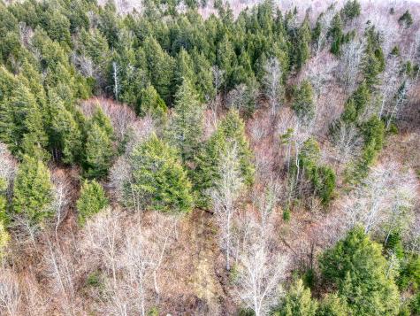 0 Little Huston Brook Road Concord Twp ME 04920