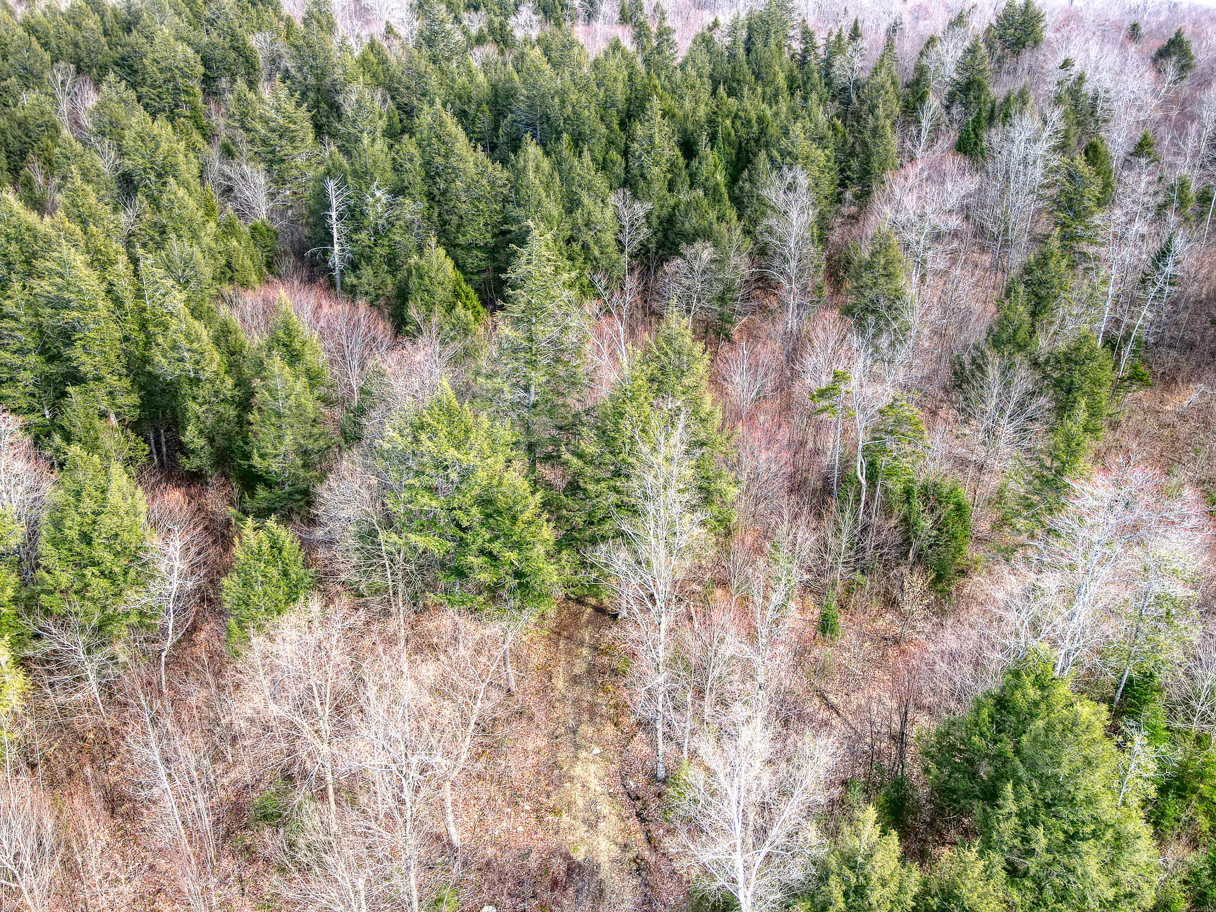 0 Little Huston Brook Road Concord Twp ME 04920