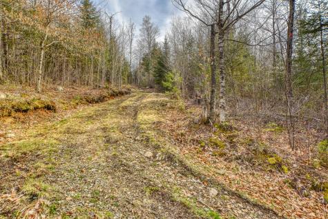 0 Little Huston Brook Road Concord Twp ME 04920