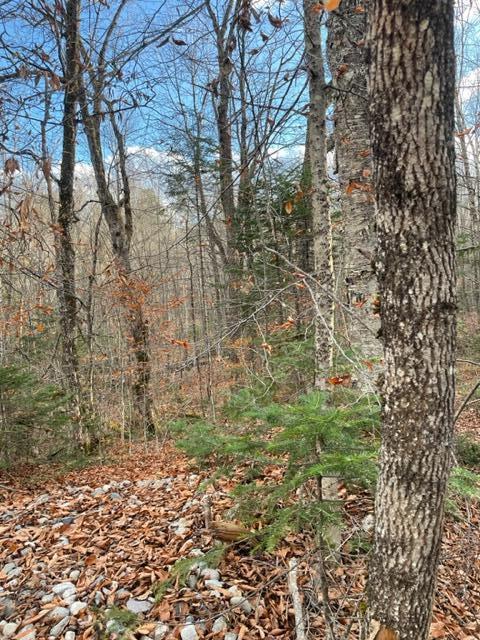 0 Little Huston Brook Road Concord Twp ME 04920