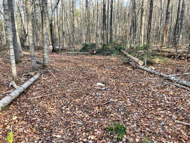 0 Little Huston Brook Road Concord Twp ME 04920