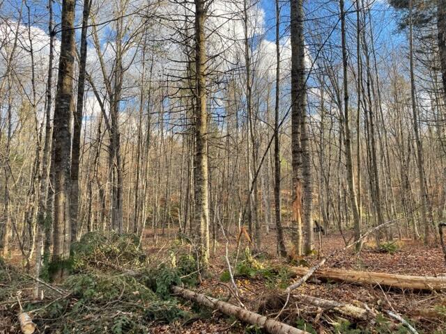 0 Little Huston Brook Road Concord Twp ME 04920